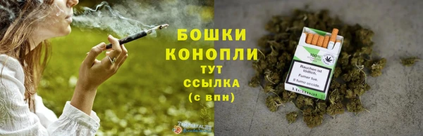 шишки Медногорск