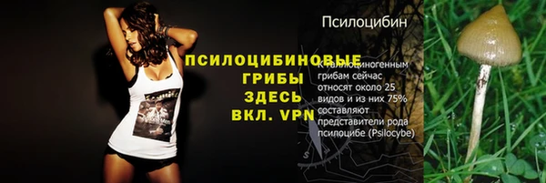 СК Медвежьегорск