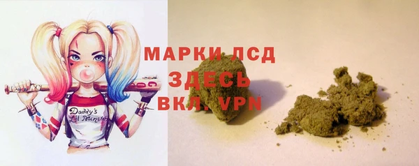 шишки Медногорск