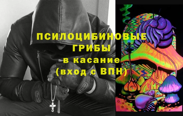 шишки Медногорск