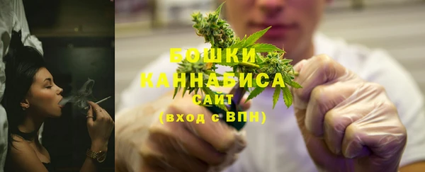 СК Медвежьегорск
