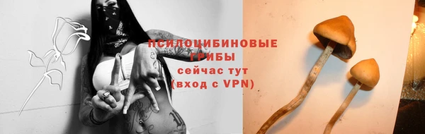 СК Медвежьегорск