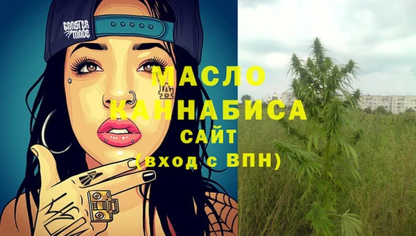 шишки Медногорск