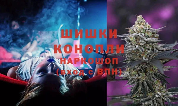 шишки Медногорск
