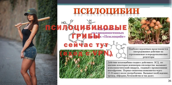 шишки Медногорск