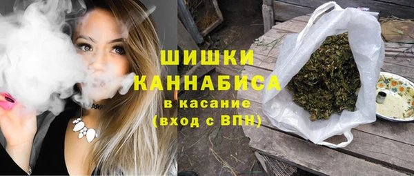 шишки Медногорск