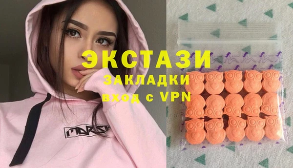 СК Медвежьегорск