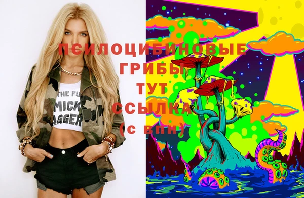 прущая мука Гусь-Хрустальный